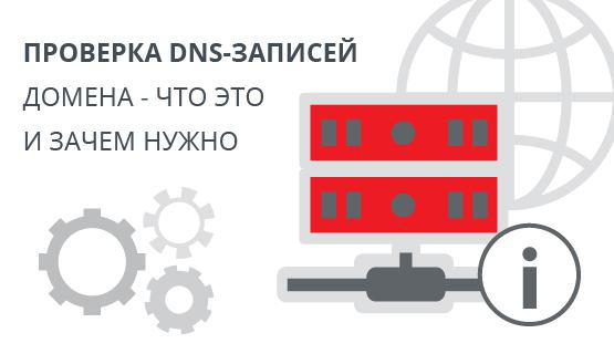 Проверка DNS-записей домена - что это и зачем нужно